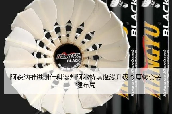 阿森纳推进谢什科谈判阿尔特塔锋线升级今夏转会关键布局